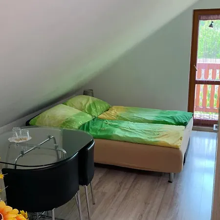 Konukevi Penzion Gaboltov *